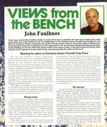 John Faulkner View From The Bench 1987