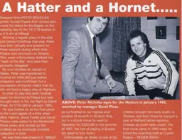 Peter Nicholas, A Hatter and a Hornet - 96-97 programme feature