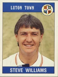 Steve Williams Sticker